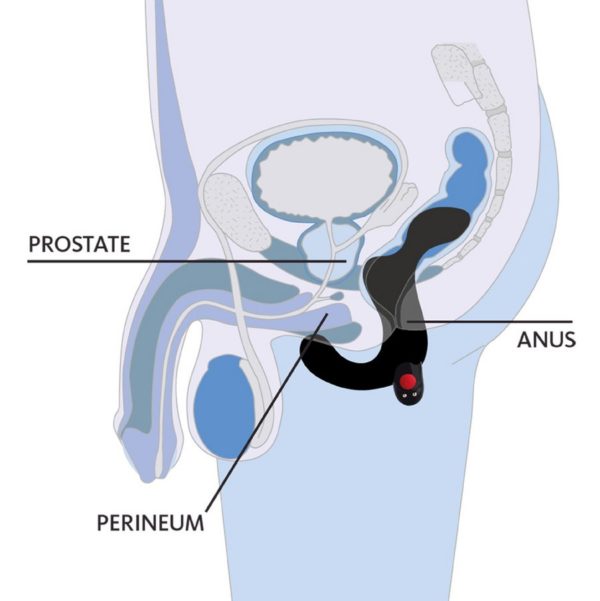 DUKE - PROSTATE VIBRATOR - Imagen 3